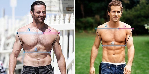 Hugh Jackman showing the ideal golden ratio